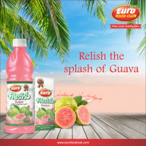 Euro Fresho Guava Juice (Pack of 24)